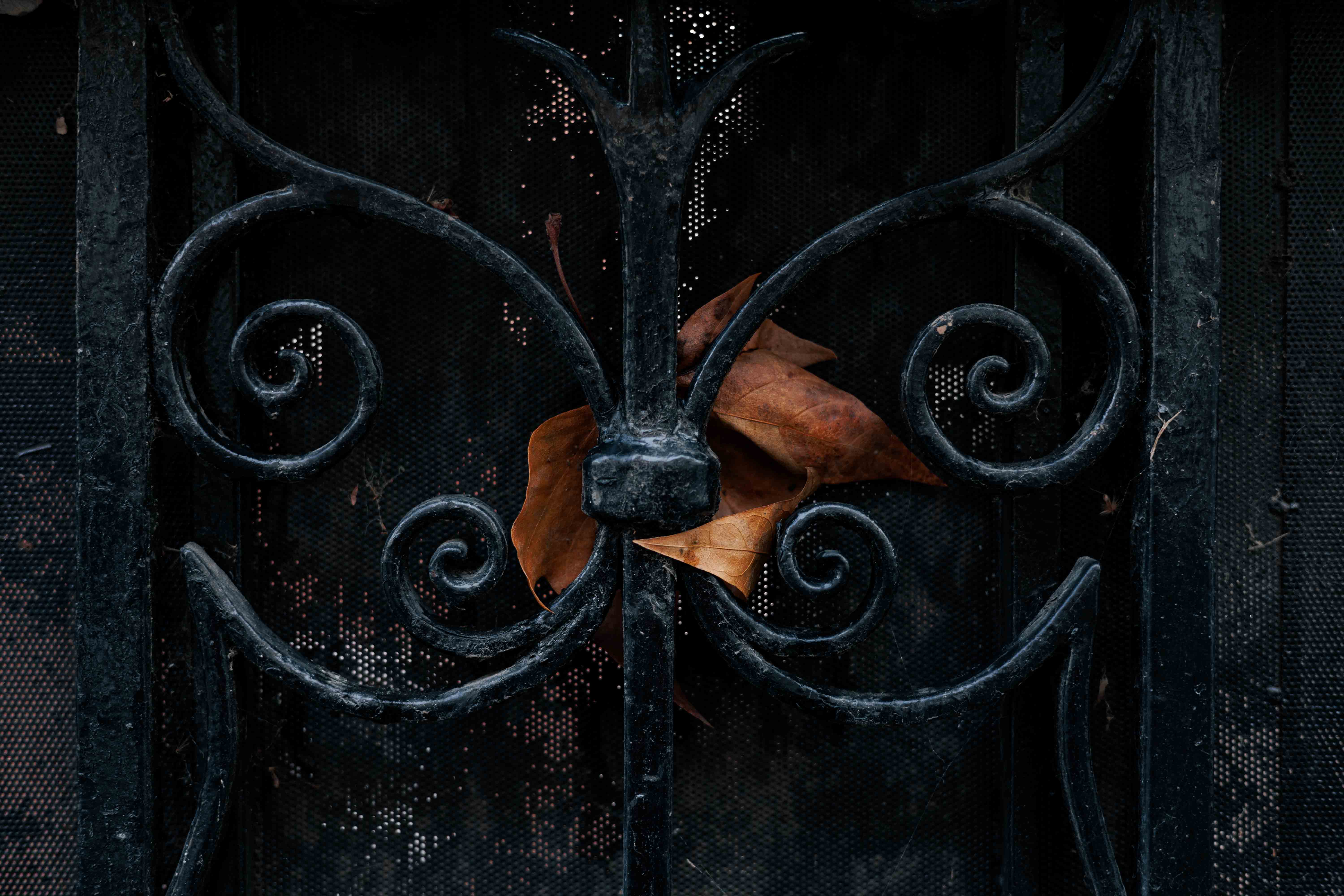 Iron fence with leaf